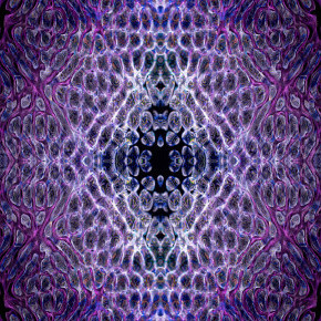 Virtual Worlds